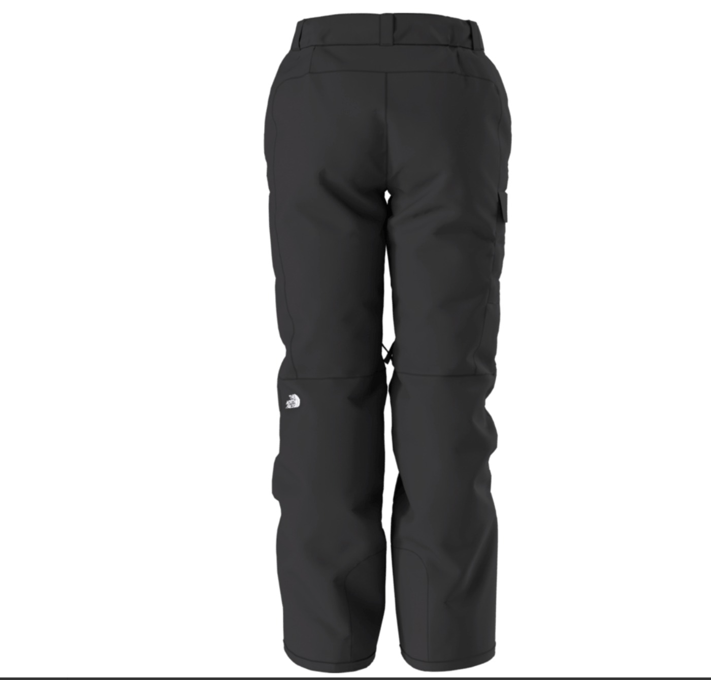 Pantalon de neige isole hiver freedom pour femme THE NORTH FACE 