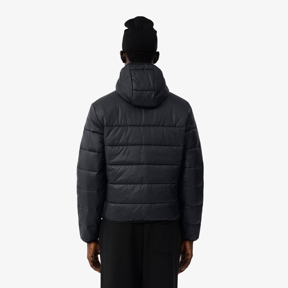 Veste légère matelassée – LACOSTE