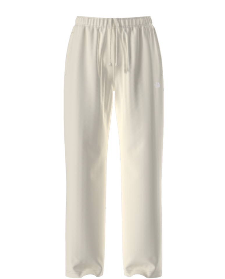 Pantalon décontracté Evolution – THE NORTH FACE - NF0A8EU2-QLI - The North Face